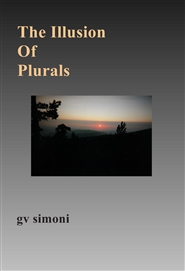The Illusion Of Plurals cover image