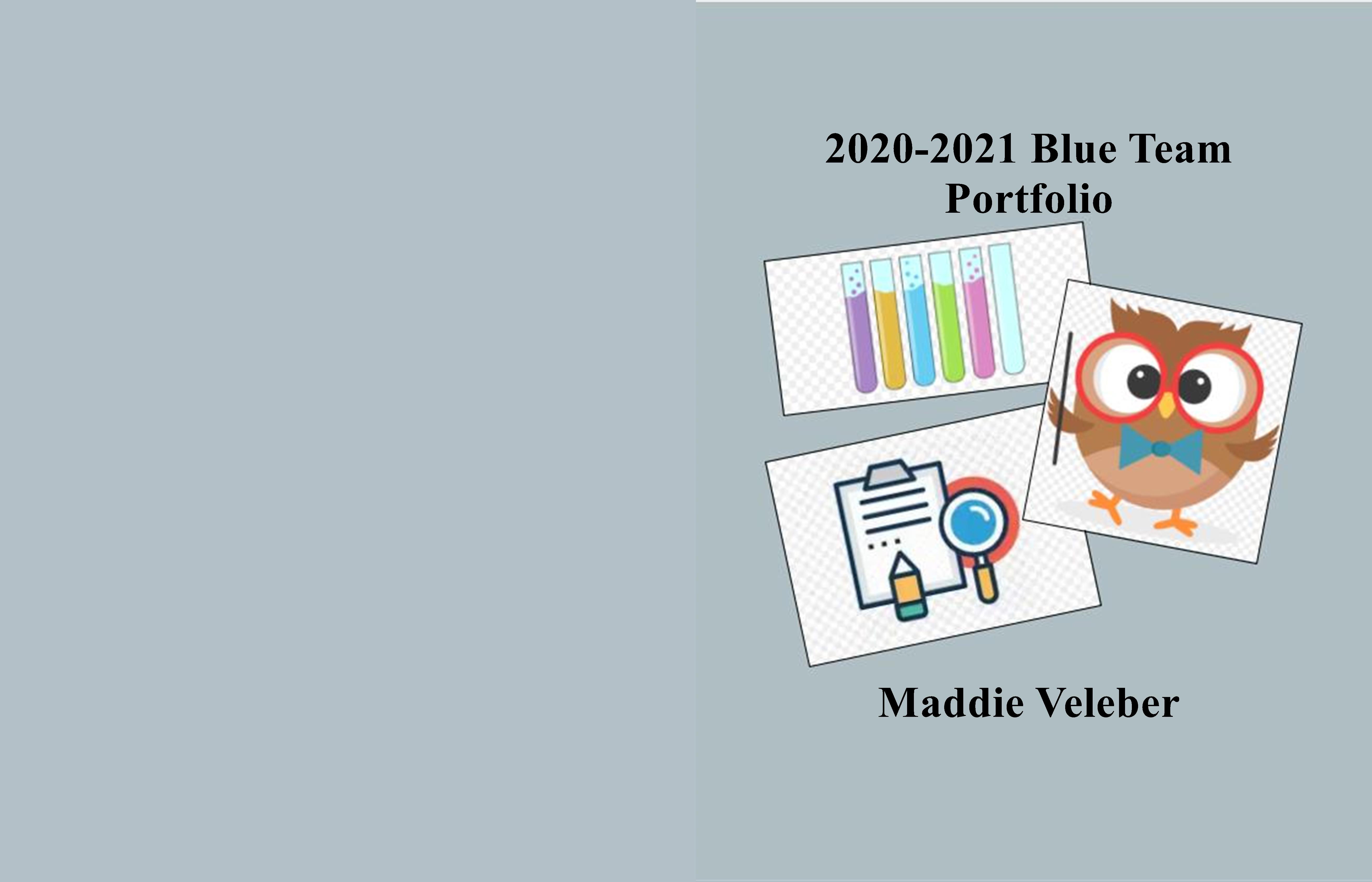 2020-2021 Blue Team Portfolio cover image