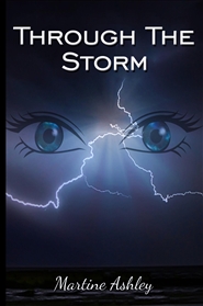 Through The Storm cover image