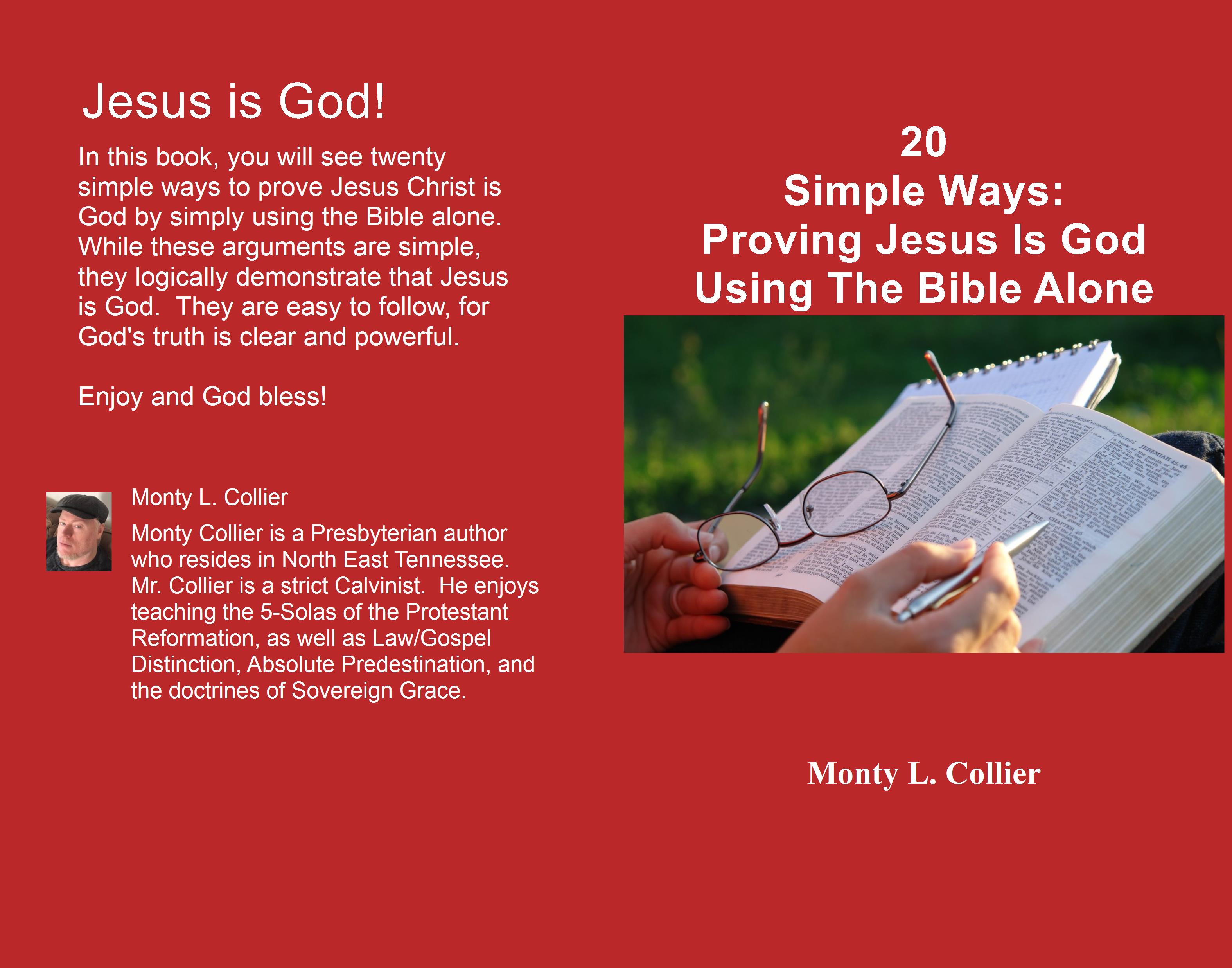 20 Simple Ways:  Proving Jesus Is God Using The Bible Alone cover image